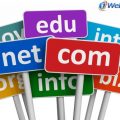 Consider the extension when choosing the right domain name for your blog.