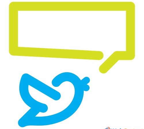 Learn how to optimize your blog for Twitter sharing.