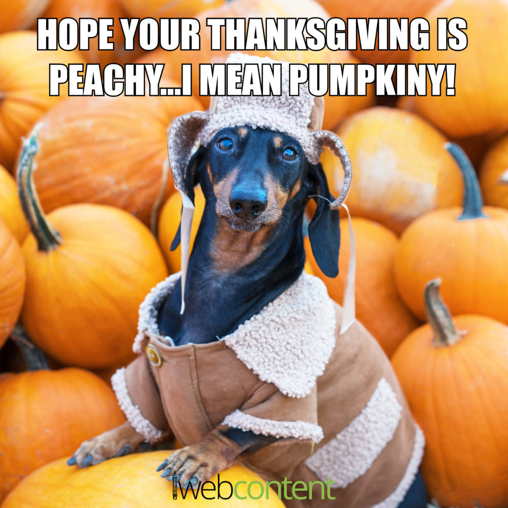 Happy Thanksgiving iWebContent
