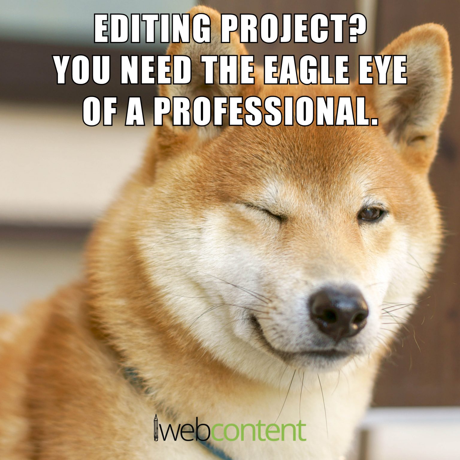 our-proofreading-editing-services-are-letter-and-punctuation