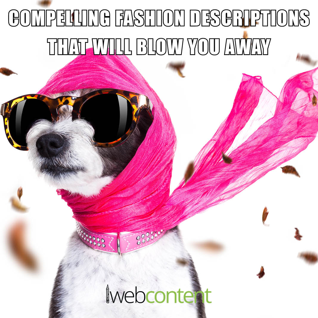 Our Fashion Writers Will Dress Your Content For Success 