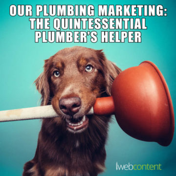iwc 2020 plumbing marketing meme