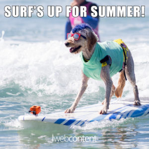 Wishing You Cool Summer Meme-ories | iWebContent