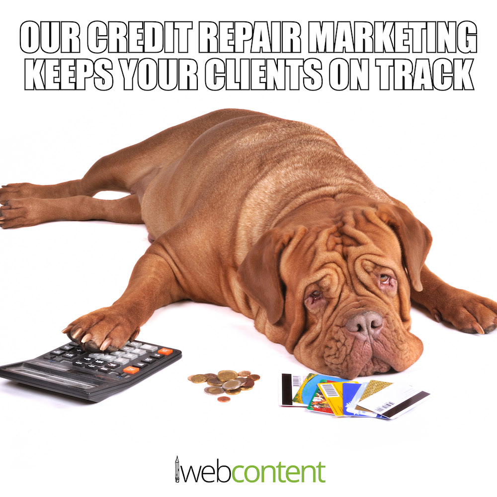 Credit Repair Marketing