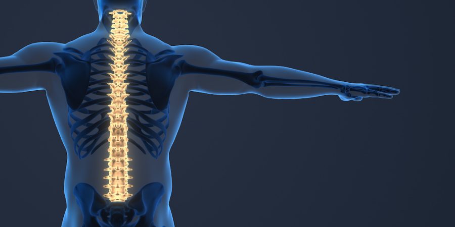 Getting Started with Digital Marketing for Chiropractors