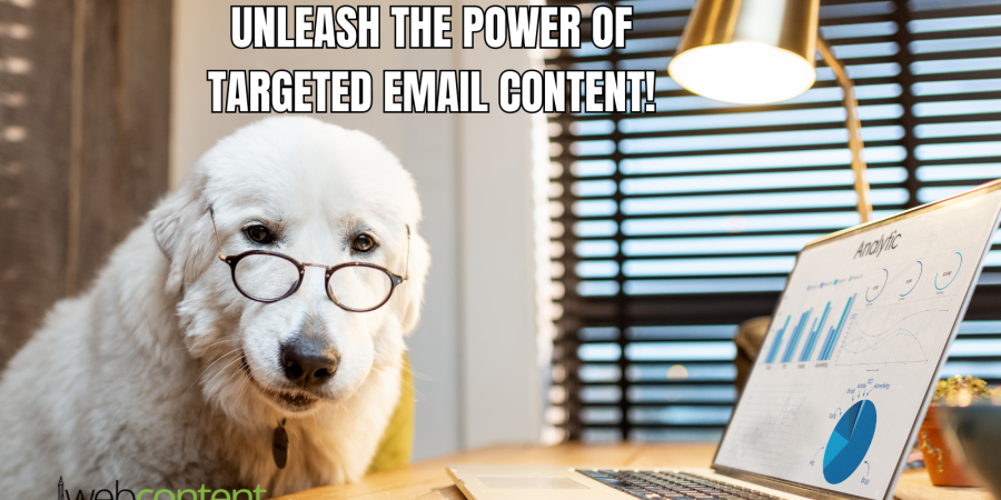 Determining the Email Marketing Content to Send to Subscribers is Essential