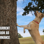 Tired of Facebook ads that bark up the wrong tree?