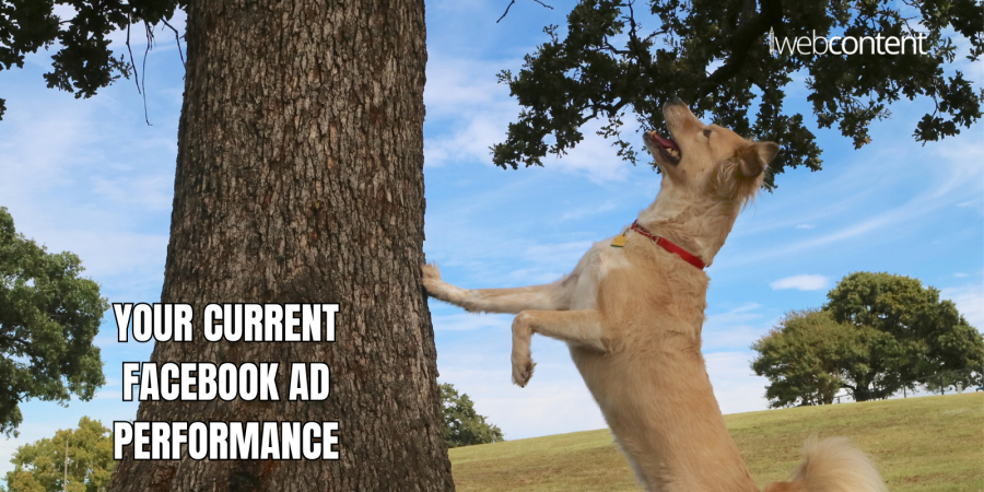 Tired of Facebook ads that bark up the wrong tree?