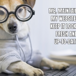 Don't Let Your Website Become a Doghouse: The Importance of Ongoing Maintenance