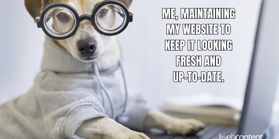 Don’t Let Your Website Become a Doghouse: The Importance of Ongoing Maintenance