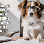 Unleashing Your Brand's Potential: Strategies for a Pawsome Content Marketing Plan