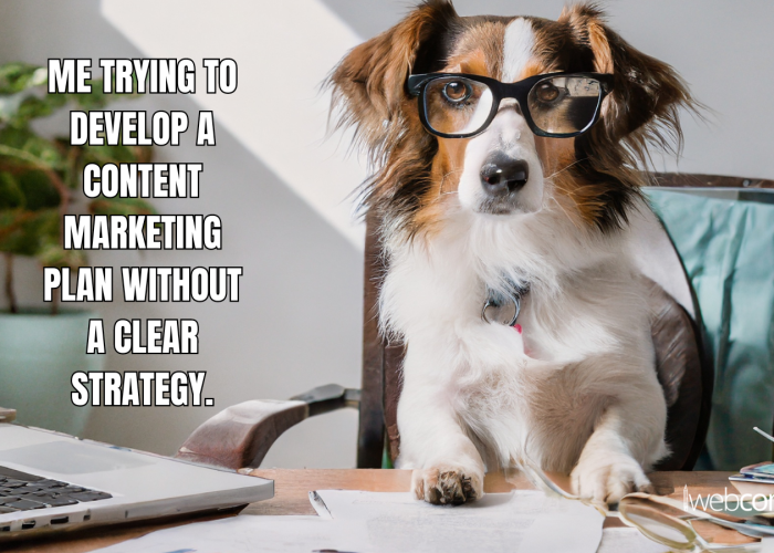 Unleashing Your Brand's Potential: Strategies for a Pawsome Content Marketing Plan