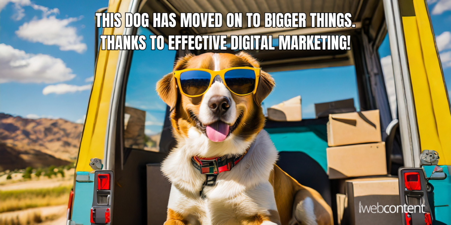 Unleash Your Moving Business Potential with Digital Marketing
