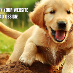 Unleashing Website Success: Do's and Don'ts of Doggone Good Design