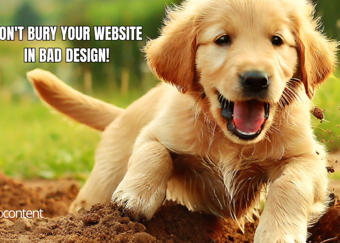 Unleashing Website Success: Do's and Don'ts of Doggone Good Design