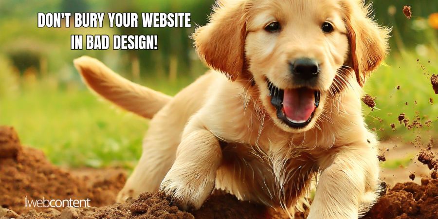 Unleashing Website Success: Do’s and Don’ts of Doggone Good Design