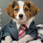 Is Your Tail Wagging Too Hard to Keep Up With Marketing?